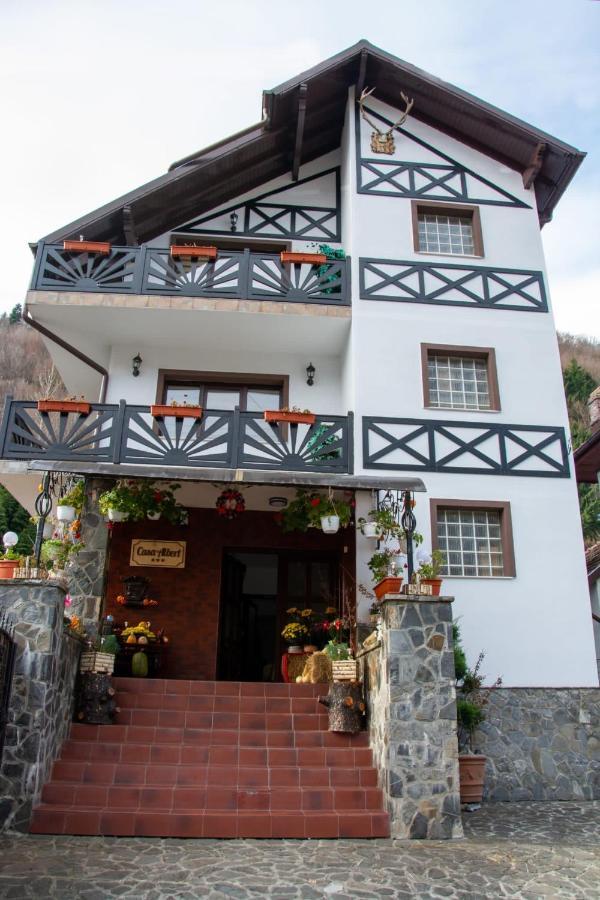 Casa Albert Sinaia Dış mekan fotoğraf