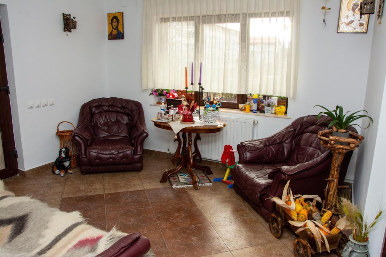 Casa Albert Sinaia Dış mekan fotoğraf